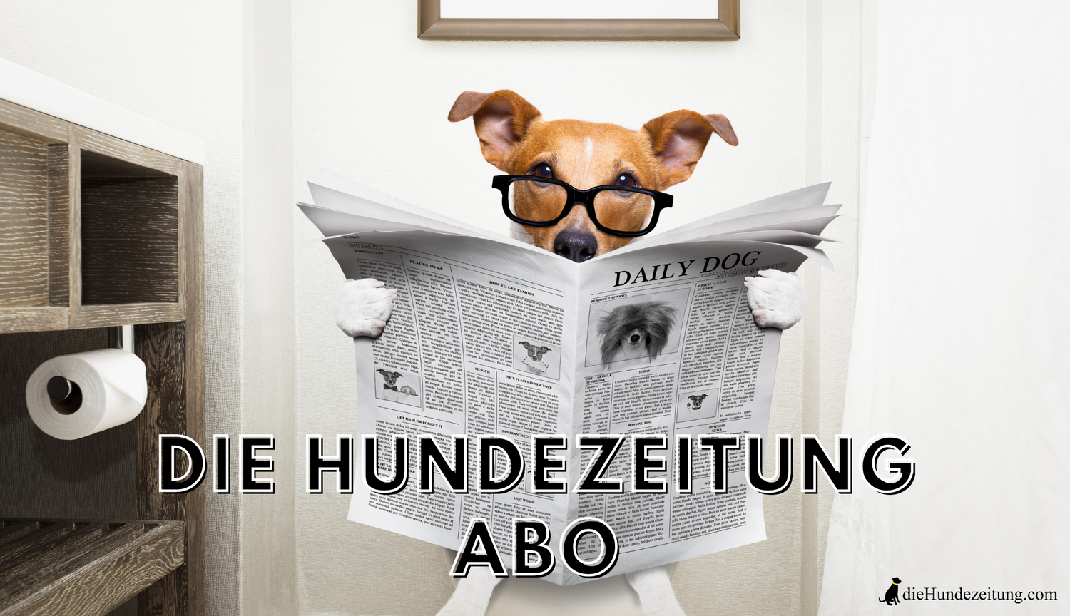Bestellen Sie hier ganz einfach Ihr Abo der Hundezeitung.